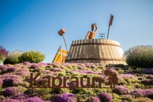 Garten- und Landschaftsbau von oben – SIGNUM 7 STUDIOS